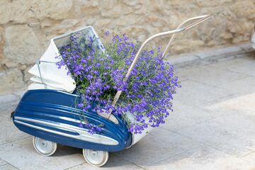 Les belles photos de notre moulin en Dordogne