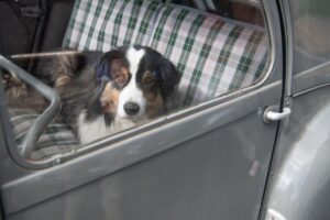 accueil-moulin-porteil (2)