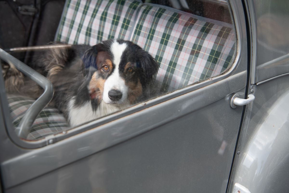 accueil-moulin-porteil (2)