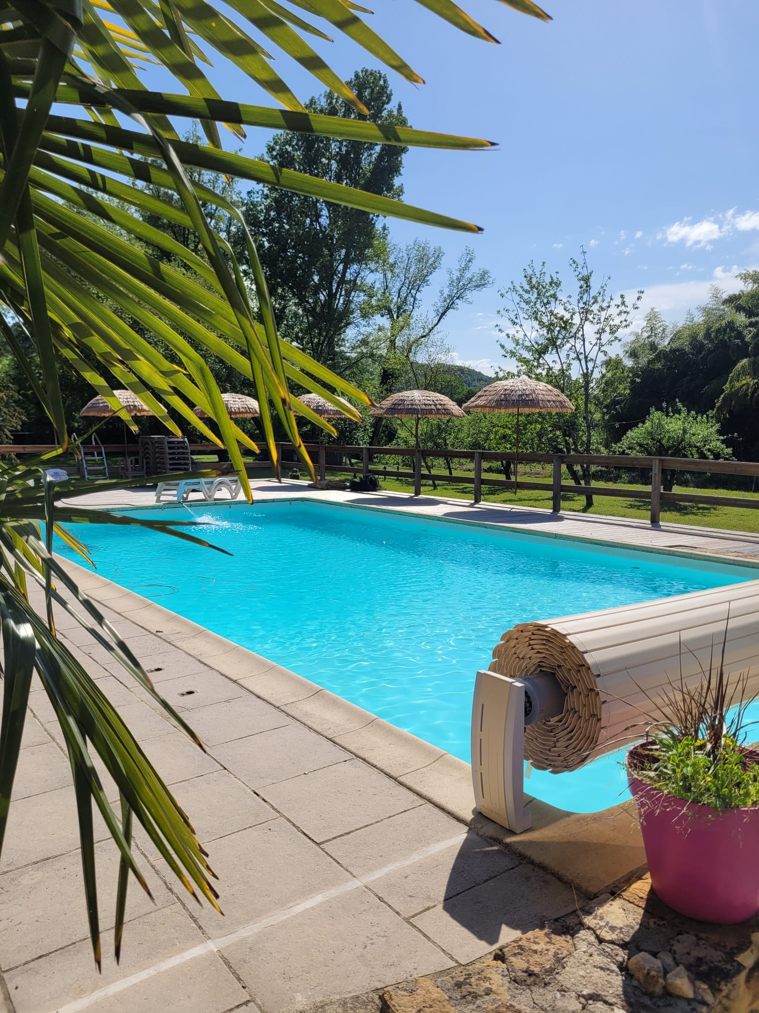 Vue estivale d'une piscine bleu vif avec margelle en dalles, bordée d'une clôture en bois et de parasols paillotes, ombragée par des palmes vertes.